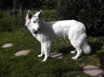 Enola mit einem Jahr